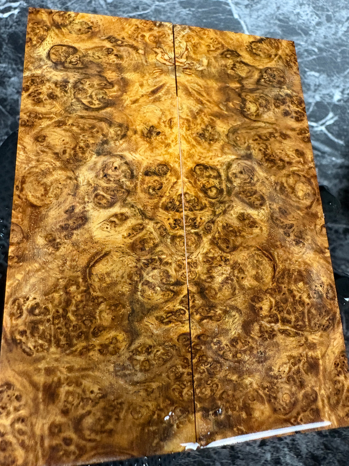 Amboyna Burl Scales AMS102 - 5.4 x 2 x .39”