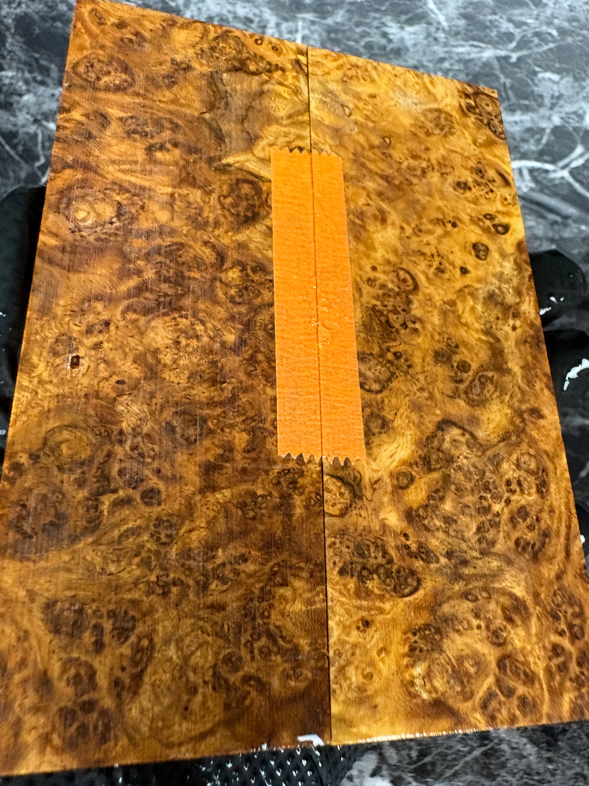 Amboyna Burl Scales AMS102 - 5.4 x 2 x .39”