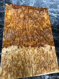 Amboyna Burl Scales AMS142 - 5.5 x 1.95 x .4”