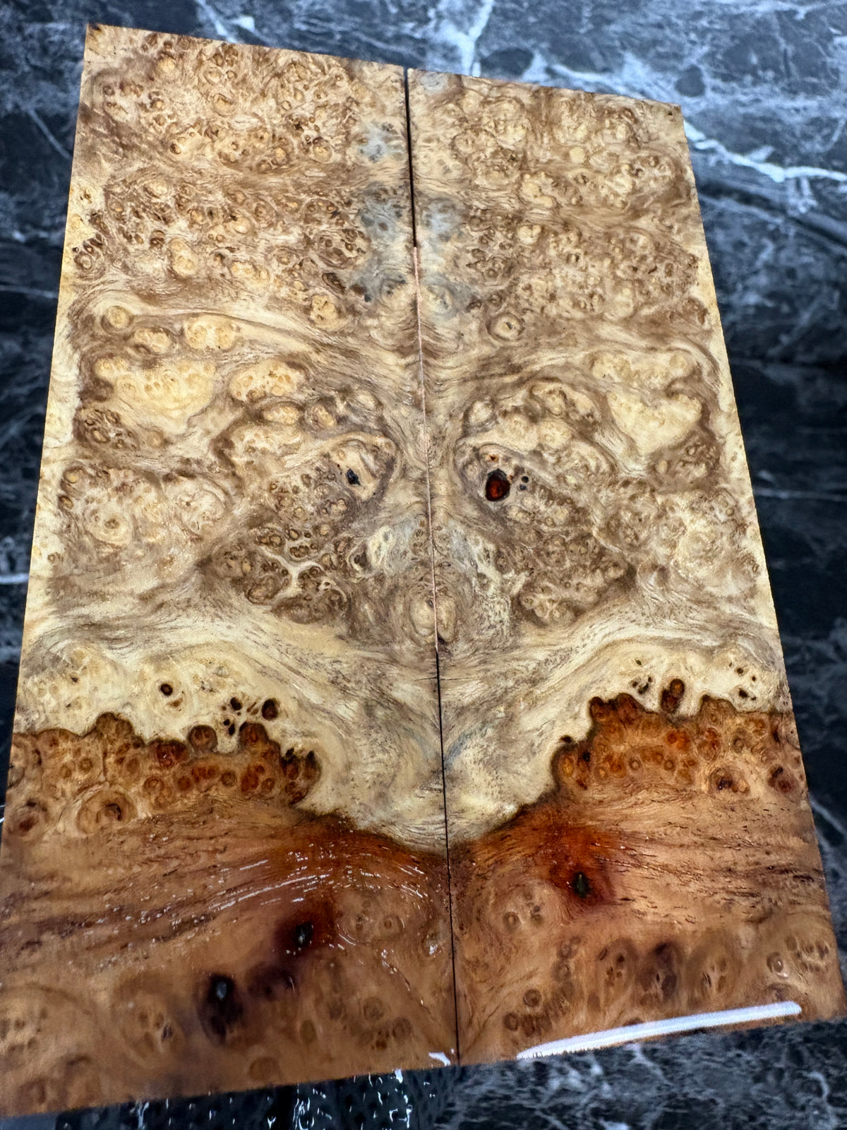 Amboyna Burl Scales AMS143 - 5.3 x 1.85 x .4”