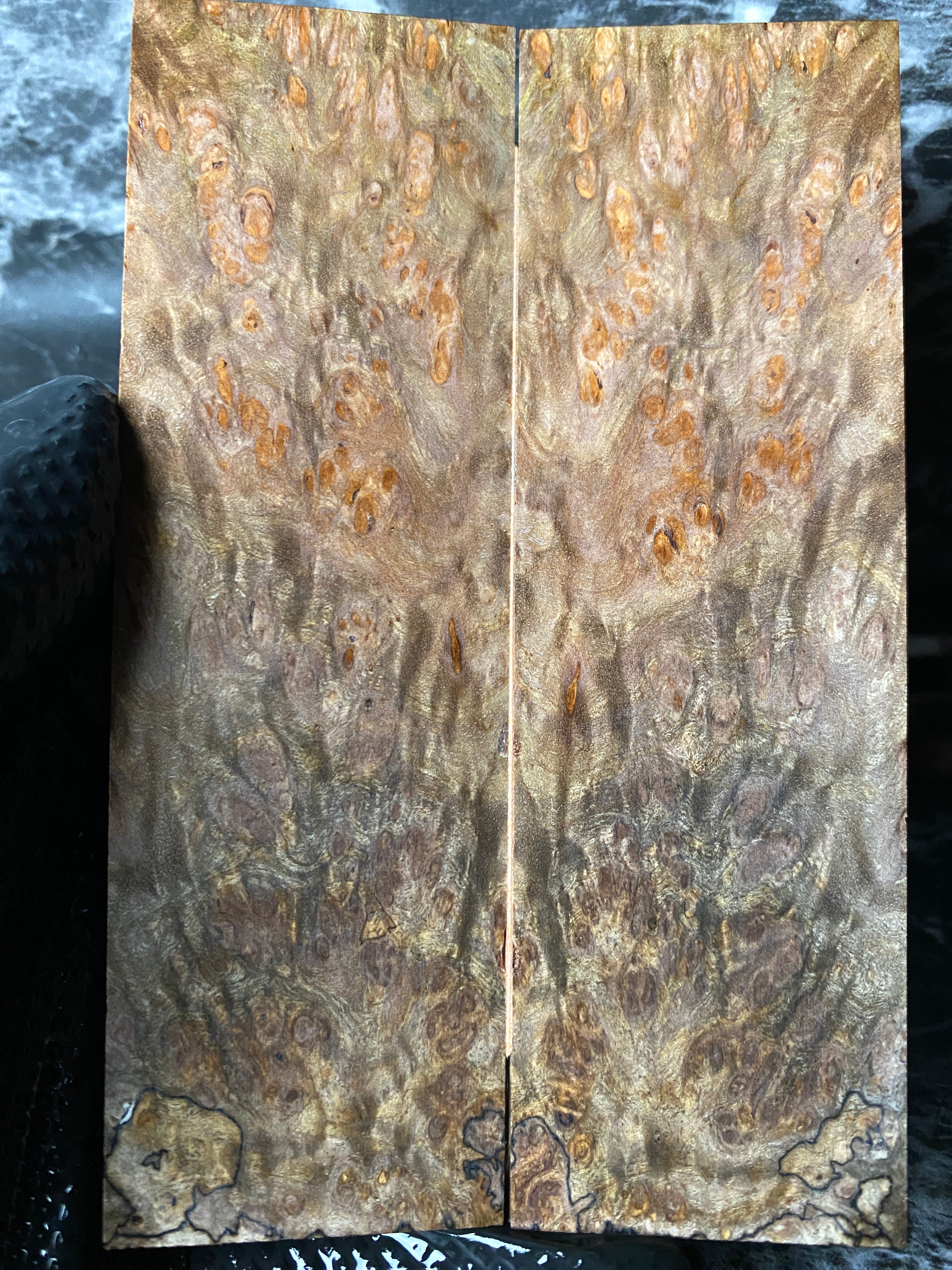 CHS102 - 5.37 x 1.64 x .37”