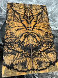 Black & White Ebony Scales BWS143 - 4.62 x 1.4 x .4”