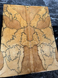 Tamarind Knife Scales TAMS139 - 5.3 x 2 x .5”