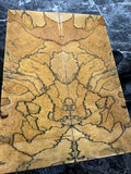 Tamarind Knife Scales TAMS143 - 5.3 x 2 x .44”