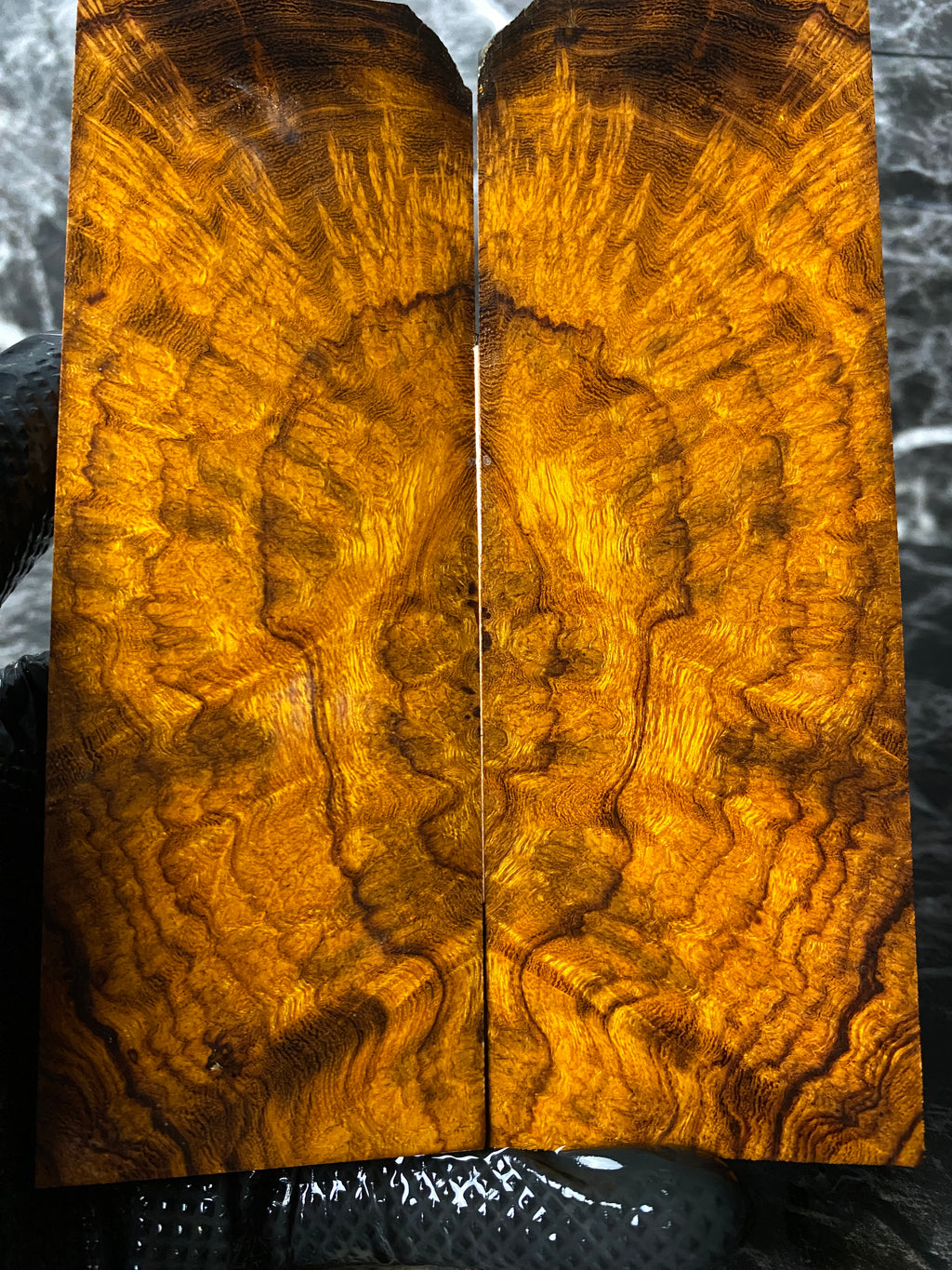 IWS224 - 6.11 x 2.09 x .36”