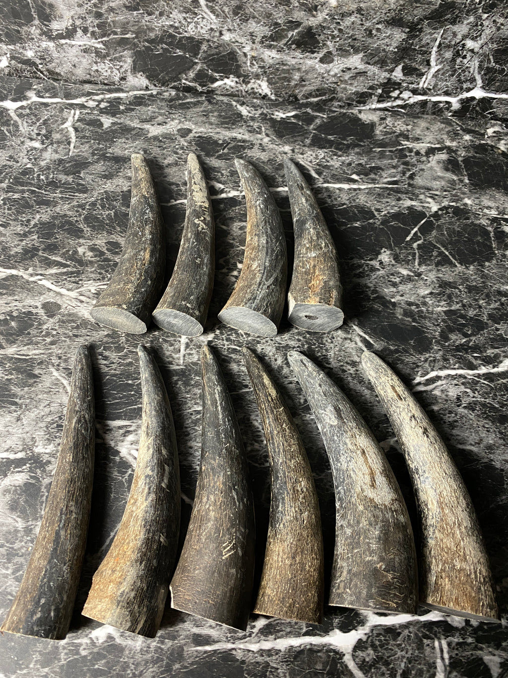 Buffalo Horn Solid Tip