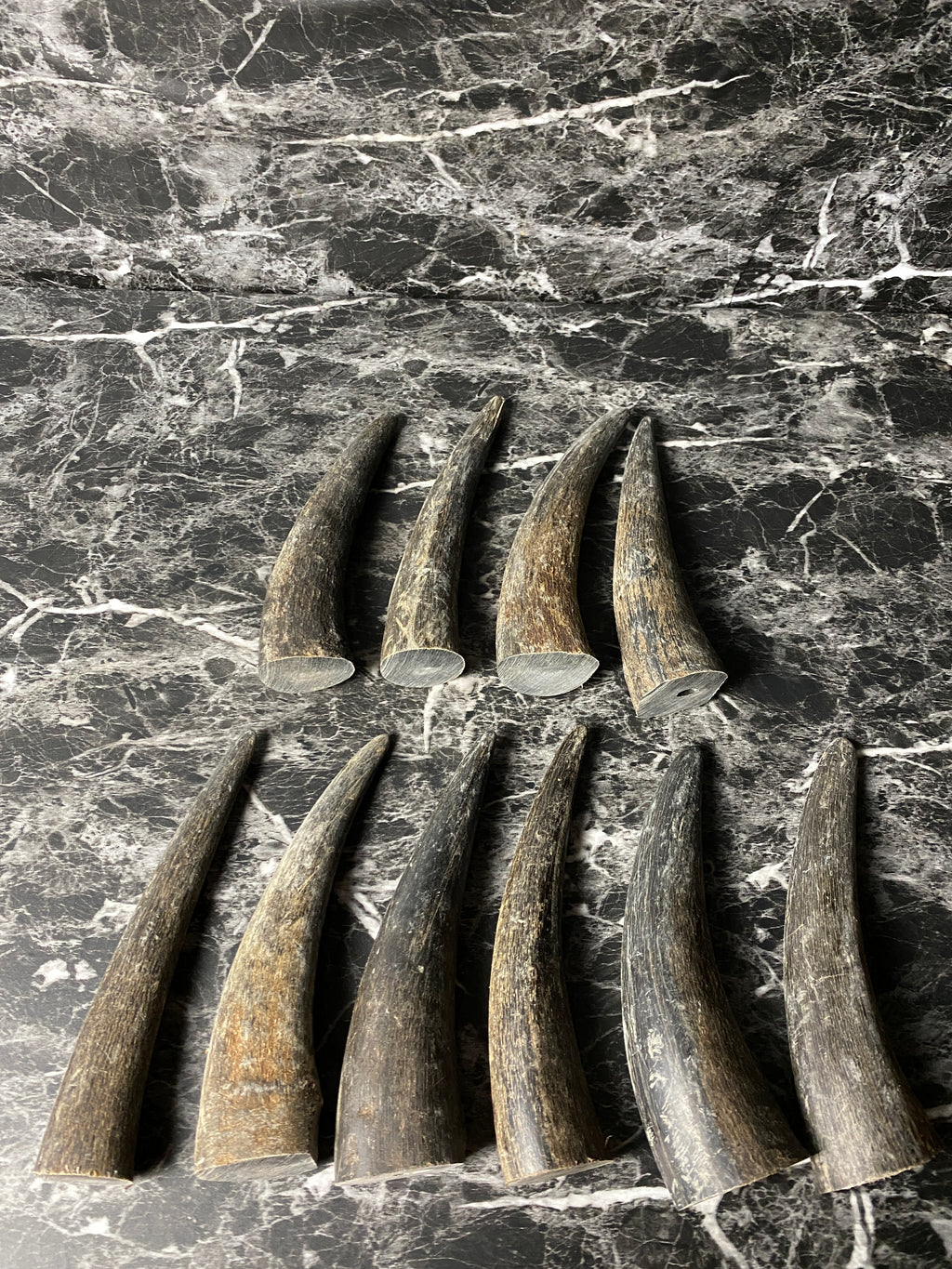 Buffalo Horn Solid Tip