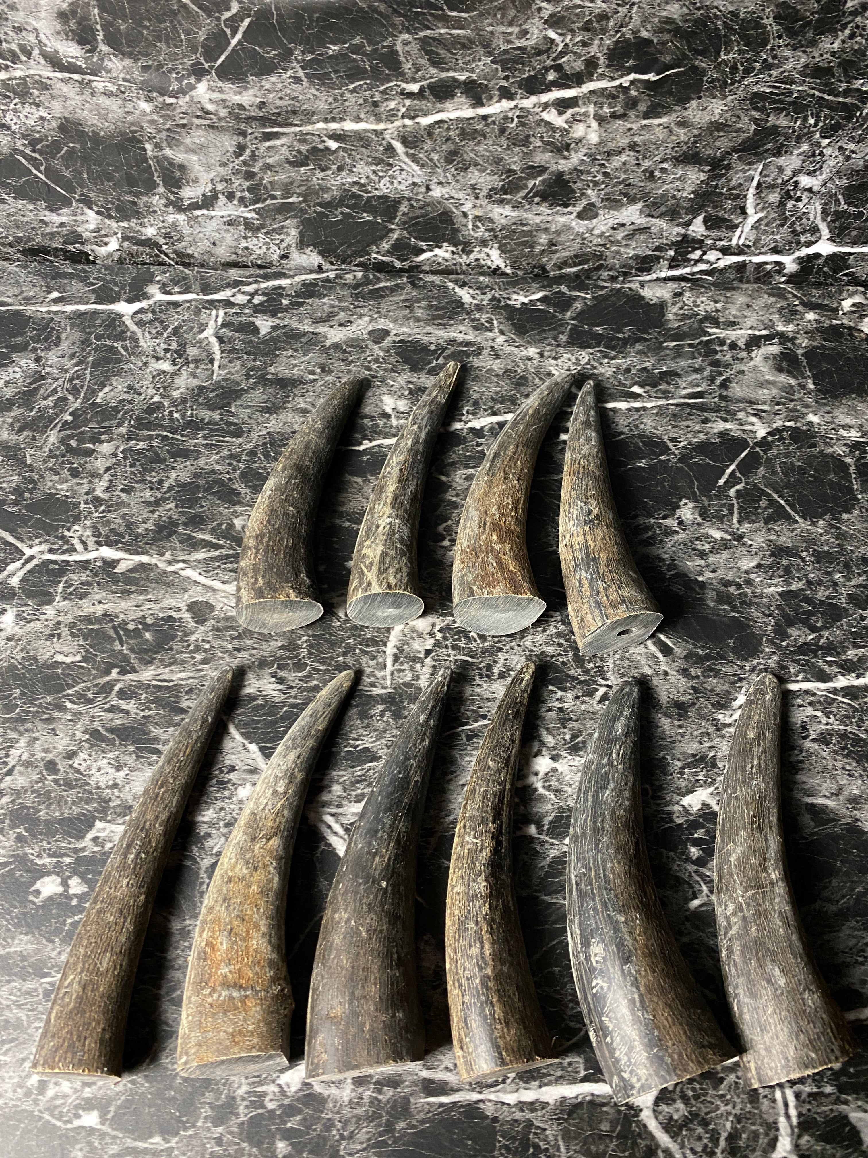 Buffalo Horn Solid Tip