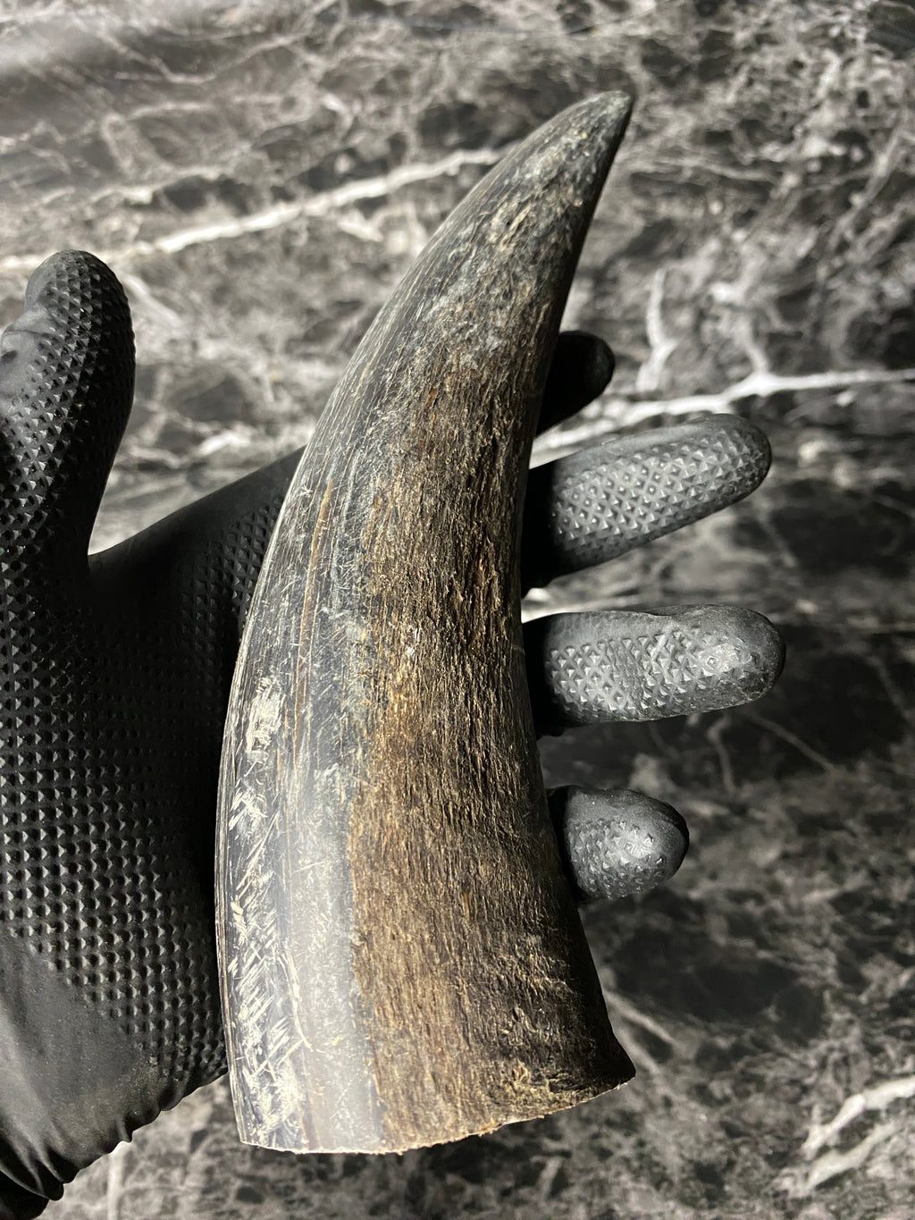 Buffalo Horn Solid Tip