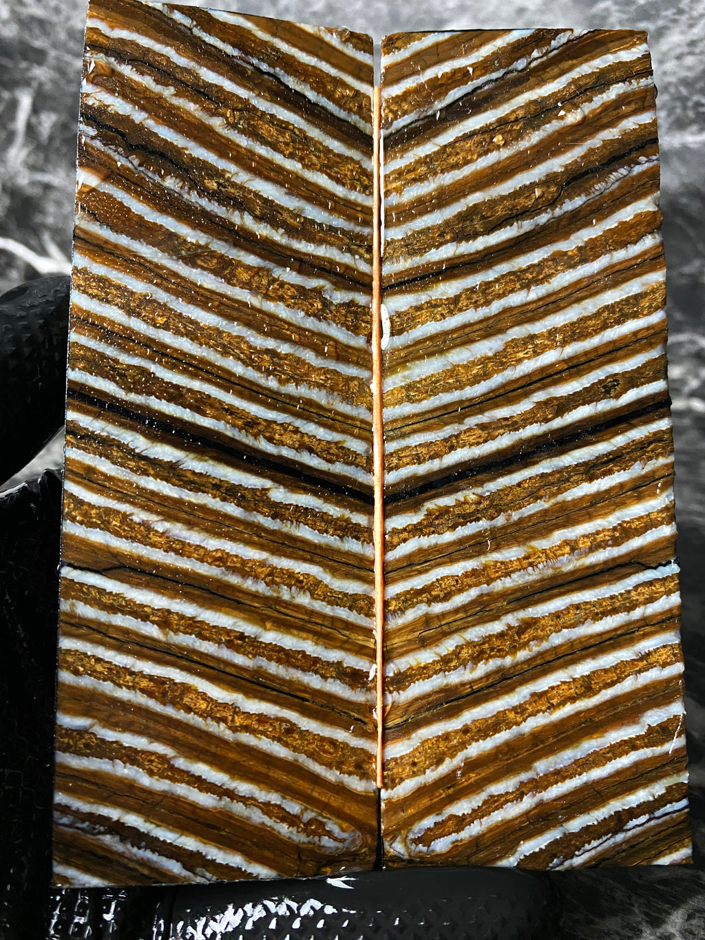 MAMS101 - 5.44 x 1.87 x .42"
