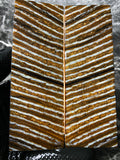 MAMS101 - 5.44 x 1.87 x .42"