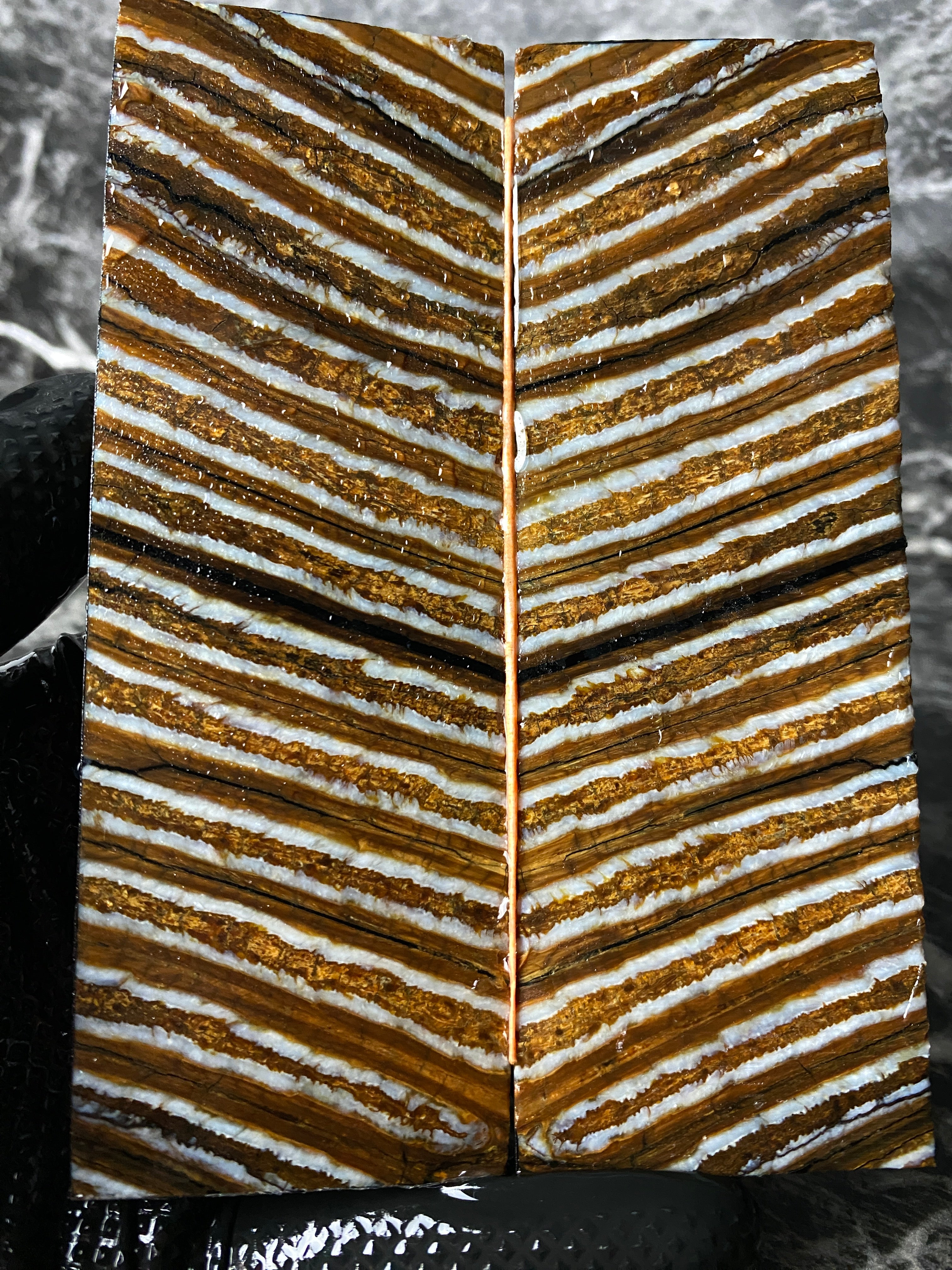 MAMS101 - 5.44 x 1.87 x .42"