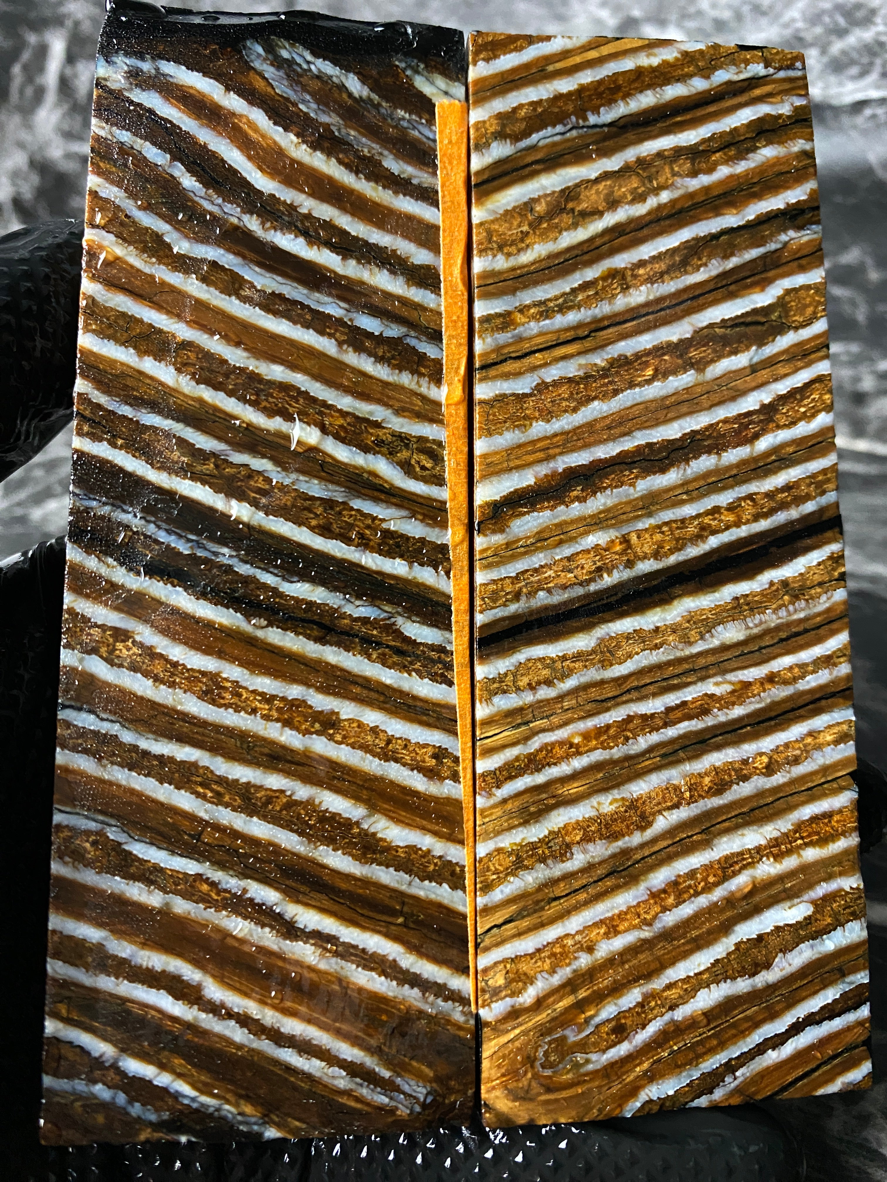 MAMS101 - 5.44 x 1.87 x .42"