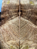 MQS109 - 4.97 x 1.80 x .38”