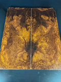GUITAR TOP103 - 17 x 7 x .36”