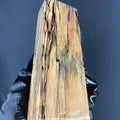 TAMB131 - 5.2 x 1.74 x 1.13”