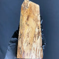 TAMB100- 5.81 x 1.86 x 1.1”