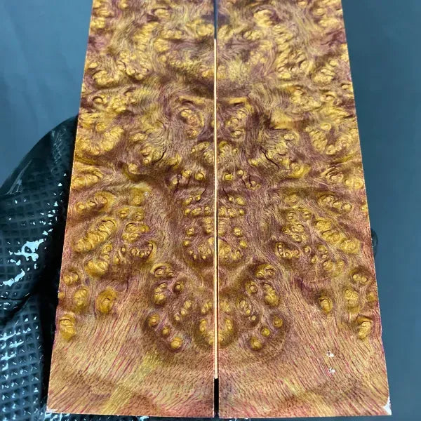 KTSD120 - 5.31 x 1.55 x .38”