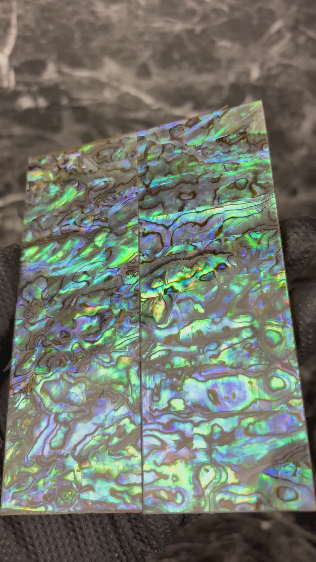 Abalone Shell Scales - 5.5 x 2 x .22”