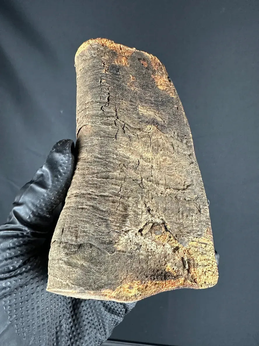 Raw Buffalo block Natural Edge