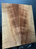 TAZ101 - 5.2 x 2.1 x .33”